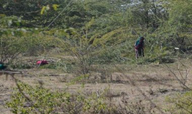 बेटे ने बुजुर्ग पिता की लकड़ी की फंटी मारकर हत्या कर दी, आरोपी गिरफ्तार
