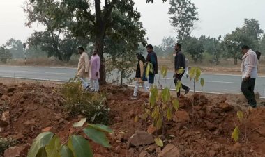 जीवित गोवंशो को दफनाने के मामले में डीएम ने सीडीओ को सौंपी जांच