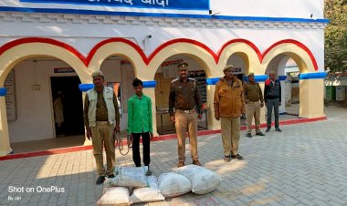 बांदा के नंदवारा गांव में हो रही थी गांजे की खेती, 24 किलो 500 ग्राम हरा गांजा बरामद