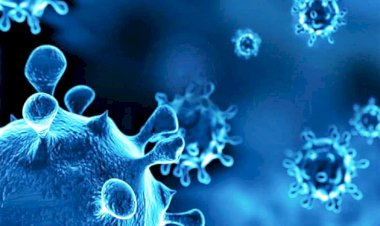 देश में ओमिक्रोन वैरिएंट ने पकडी रफ्तार, नई दिल्‍ली में लगातार उछाल, 142 मामले