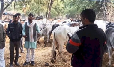 बांदा : समाजसेवी पीसी पटेल के खिलाफ सरकारी कार्य में बाधा डालने पर मुकदमा दर्ज