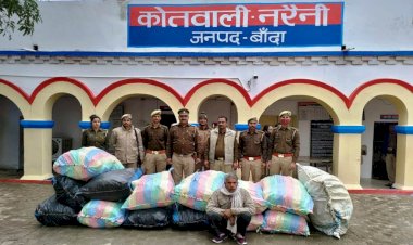 बांदा में तीन भाई मिलकर कर रहे थे गांजा की खेती, पुलिस ने एक को दबोचा, साढ़े तीन कुन्तल हरा गांजा बरामद