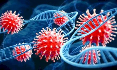 कोरोना के नए मामले फिर बढ़े, 24 घंटे में दो लाख 86 हजार मरीज