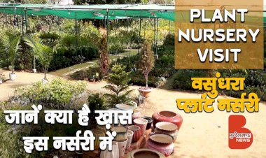 पेड़ पौधों का इतना बड़ा शौक, मैडम ने 4 बीघा जमीन में प्लांट नर्सरी बना डाली | Plant Nursery Business
