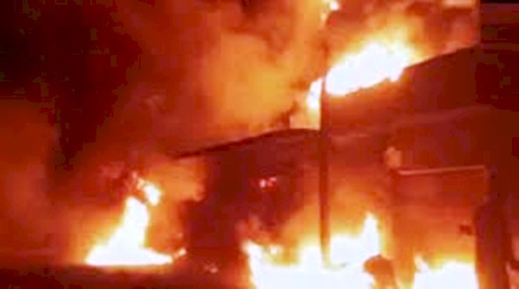 पीसीएफ गोदाम के पीछे लगी भीषण आग, कई हरे पेड़ जलकर राख