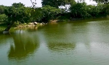 फ्रीडम फाइटर्स और शहीदों के गांव में विकसित होंगे अमृत सरोवर, 15 अगस्त से पहले पूरा हो जाएगा काम 