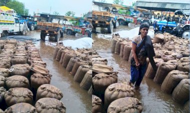 महोबा : प्रशासनिक लापरवाही से सैकड़ो टन अनाज बदइंतजामी की भेंट चढ़ा