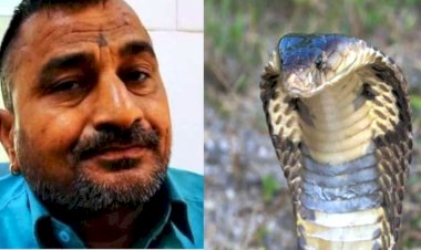 बांदा : इस शख्स को जहरीले सांप ने काट लिया, गुस्से में उसने सांप को ही खा लिया