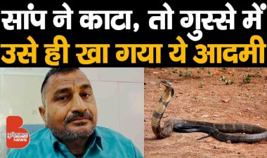 इस आदमी को जहरीले सांप ने काट लिया, गुस्से में उसने सांप को ही खा डाला