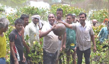 जलकुंभी हटाओ तालाब बचाओ अभियान चलाकर 1 दिन में 50 तालाबों की सफाई, डीएम खुद भी तालाब में उतरे