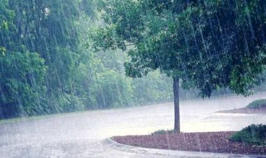 उप्र में भारी बारिश, प्रभावित जिलों को मुख्यमंत्री योगी ने दिए निर्देश
