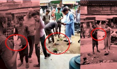 मानवता की मिसाल : बेजुबान पंछियों को पिंजड़े से करवाया आजाद