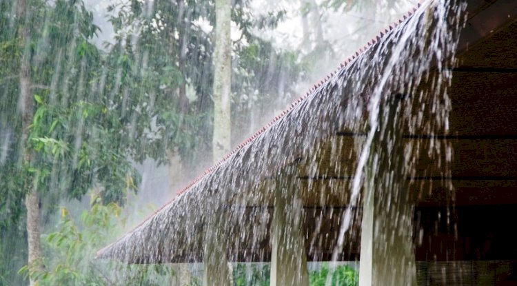 उत्तर प्रदेश सहित उत्तर भारत में तेज हुई मानसूनी गतिविधियां, होगी झमाझम बारिश