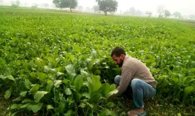 बुन्देली किसान हिमांचल वासियों को सिखायेंगे जैविक खेती के गुर