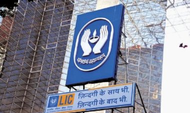 एलआईसी बनी देश की सबसे अधिक रेवेन्यू वाली कंपनी, रिलायंस इंडस्ट्रीज को पीछे छोड़ा
