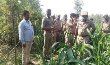 बड़ी वारदात : दिनदहाडे किसान की खेत में गोली मार कर हत्या