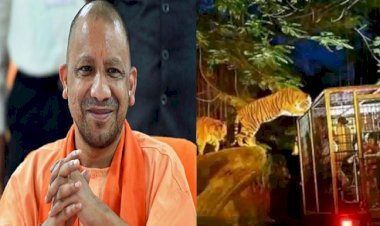 सिंगापुर की तर्ज पर लखनऊ में बनेगी देश की पहली नाइट सफारी