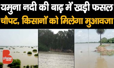 यमुना नदी की बाढ़ में गांवों के खेतों में खड़ी फसल चौपट, इन किसानों को मिलेगा मुआवजा | Banda