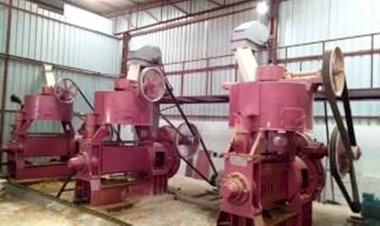 झांसी की महिलाएं लगाएंगी मूंगफली का तेल निकालने वाला प्लांट