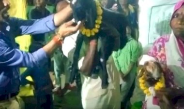 इनके कोई औलाद नहीं, बकरी के बच्चे हुए, उनका ही बर्थडे मना डाला