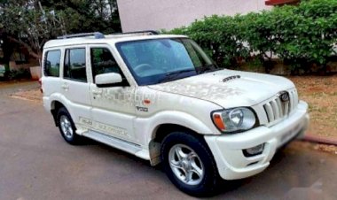 दर्दनाक हादसा : तेज रफ्तार बोलेरो ने बाइक सवार चाचा भतीजे को रौंदा