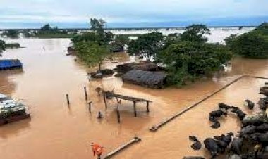 बाढ़ व बारिश के दौरान चित्रकूट मंडल के 122 लोगों ने गंवाई जान