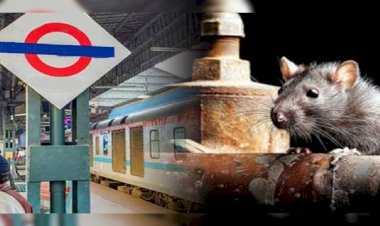 चूहो ने ट्रेन में ऐसा मचाया बवाल, यत्रियों का घुटने लगा दम, चेन खींचकर रोकनी पडी ट्रेन 