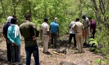 भैया! मेरी लाश जंगल में लटकी है, देख जाओ, एक महिला के ऑडियो से सनसनी