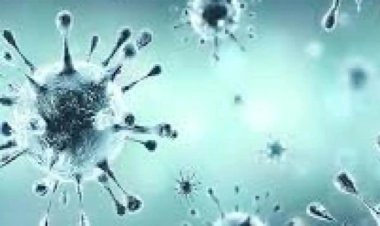 बांदा में नहीं है कोई भी कोरोना मरीज, हो चुकी है 170 लोगों की मौत