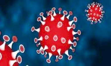 कोरोना अलर्ट: यूपी के इस जिले का आईआईटी छात्र कोरोना पॉजिटिव