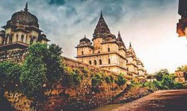 बुंदेलखंड बनेगा वाइल्ड लाइफ टूरिज्म का हब, चित्रकूट में टाइगर रिज़र्व, झांसी में एनिमल सफारी