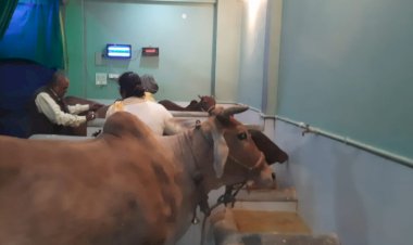 इस शहर में गौ माताओं का हाईटेक घर, जहां हर सुख सुविधा का इंतजाम