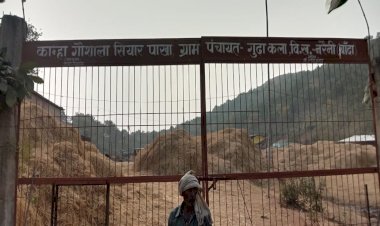 यहां आधा सैकड़ा गोवंशों की लाशें बिखरी पड़ी, गौशाला में हुई मौतों से मचा हड़कंप