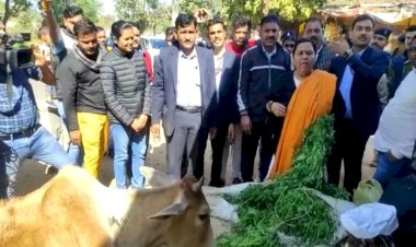 अरे.. ये क्या ? उमा भारती ने मधुशाला को बना डाला गौशाला