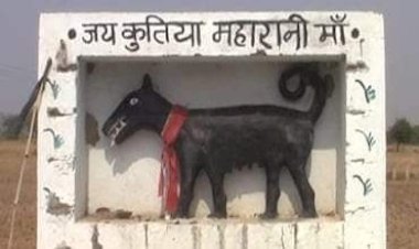 झांसी में इस मंदिर पर लिखा हुआ है जय कुतिया महारानी मां, क्या है यह विचित्र कहानी ?