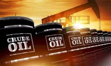 कच्चा तेल 77 डॉलर प्रति बैरल के करीब, पेट्रोल-डीजल के दाम स्थिर