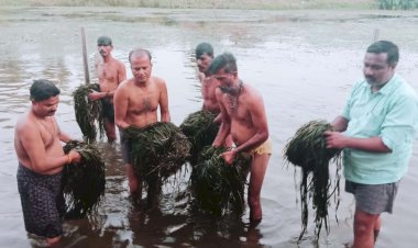 नदी सफाई करते बुन्देली सेना के कार्यकर्ता।