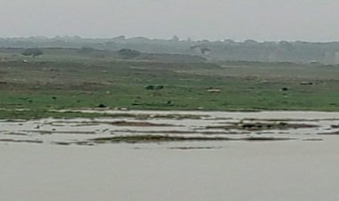 बेतवा नदी का जलस्तर एक मीटर बढ़ने से सब्जी की बारी डूबी