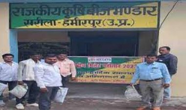 बुन्देलखंड में तिल के बीज न मिलने से कृषक परेशान