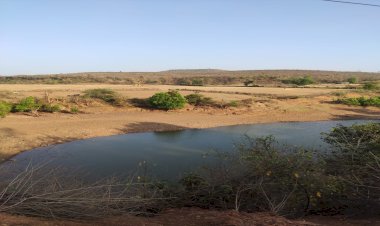 बुंदेली सेना नें सीएम शिवराज सिंह के प्रति जताया आभार