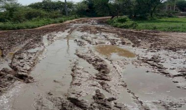 हमीरपुर के कई गांवों में जाते ही पड़ते हैं दलदल में पांव