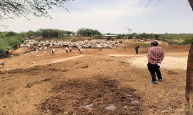 गौ आधारित पेंट बनाने का यूनिट चलाएंगी स्वयं सहायता समूह की महिलाएं