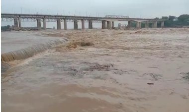 केन नदी में बह रही बकरी और वृद्ध को गोताखोरों ने दो किलोमीटर दूर पीछा कर बचाया