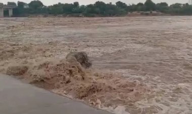 केन नदी उफनाई, खतरे का निशान पार किया, नदी किनारे गांवों में अलर्ट