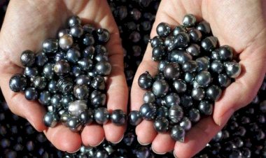 बुंदेलखंड की जमीन उगल रही अनमोल रतन, खुदाई में जुटे लोग