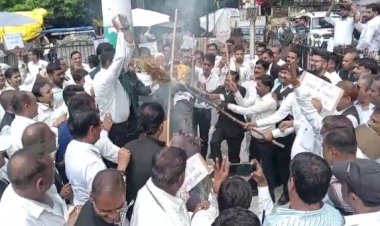 हापुड़ में हुई घटना को लेकर अधिवक्ताओं ने यूपी सरकार का पुतला फूंका 