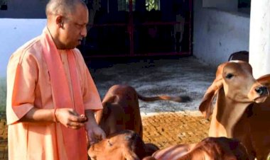 नंदनी कृषक समृद्धि योजना का लाभ पाने को पांच अक्टूबर तक करें आवेदन