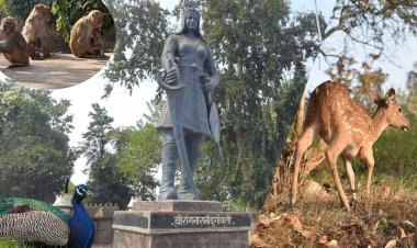 बुंदेलखंड में एक और टाइगर रिजर्व, वीरांगना दुर्गावती के नाम पर होगा