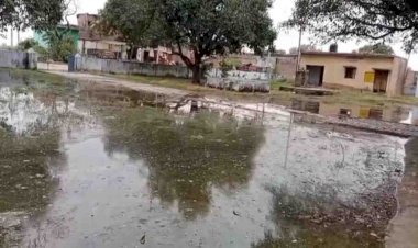 झाँसी : विद्यालय में पहुंचा मगरमच्छ, छात्रों में दहशत