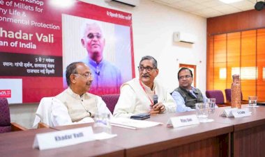 फिल्म के माध्यम से मिलेट्स की महत्ता बताएगी सरकार